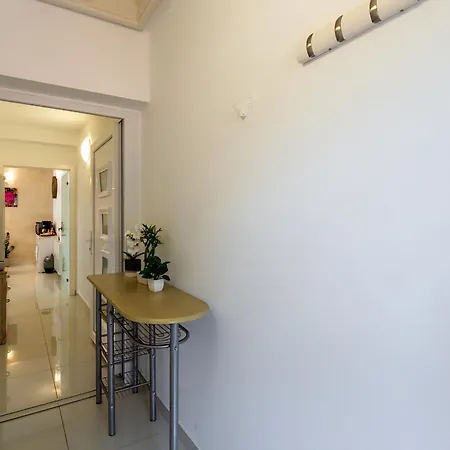 Sandi 2408 * بولا