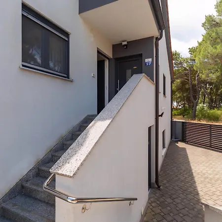 Sandi 2408 Appartement