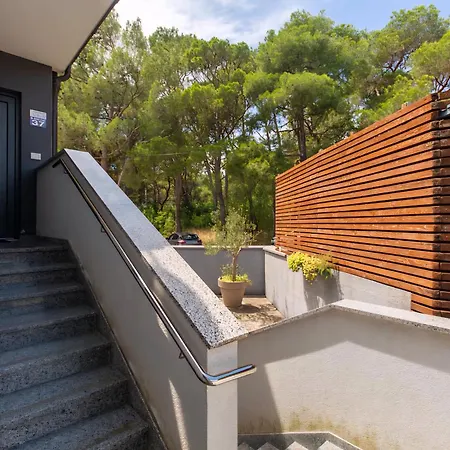 Daire Sandi 2408 Pula